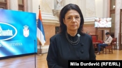 Rašković Ivić: Troše se velike količine para na nešto što je nepotrebno