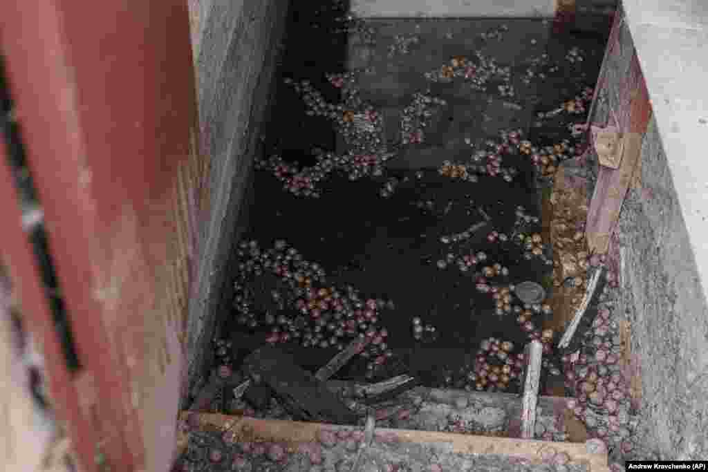 Основните продукти, на които Олха някога е разчитала, като тези картофи, сега плуват в гнилата вода на нейното наводнено мазе.