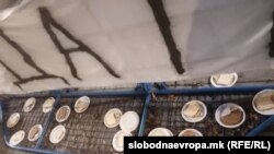 Студентски протест пред Собрание (Архива)