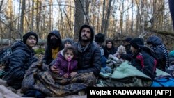 Kurdska porodica iz Iraka u šumi u blizini poljsko-beloruske granice, 9. novembar 2021.
