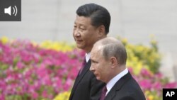 სი ძინპინი და პუტინი