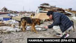 Анна Куркурина спасает животных из зоны боевых действий