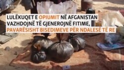 Lulëkuqet afgane rriten edhe nën regjimin taliban