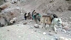 Gomarët sjellin energji diellore në fshatin e izoluar