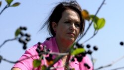 Fermerja e kthyer nga Kroacia që zhvilloi biznes me fruta të imëta