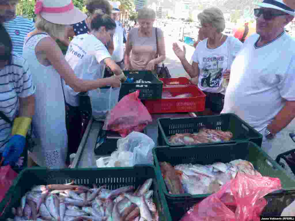 Mještani uglavnom kupuju ribu na rivi, gdje predveče pristaje ribarska koča sa dnevnim ulovom. Stranci uglavnom fotografišu ribe, usput nauče kako prepoznati frešku, a dobiju i savjet kako je pripremiti.