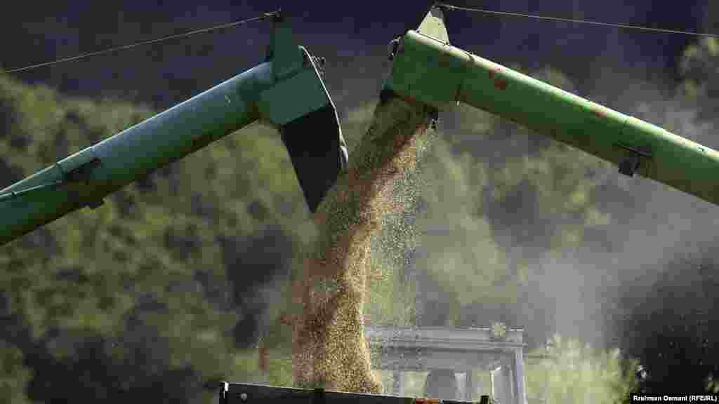 Pos rendimenteve të ulëta, gruri i korrur sivjet nuk e ka as cilësinë e duhur për prodhimin e miellit, thonë nga Shoqata e Mullisëve të Kosovës.