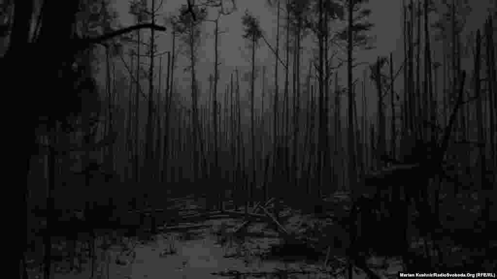 Az egykor sűrű erdő helyén most kietlen a táj. A katonák verduni húsdarálónak nevezik a helyet, utalva a híres első világháborús csatára