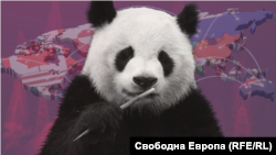 Илюстрация на панда на фона на картата на света.