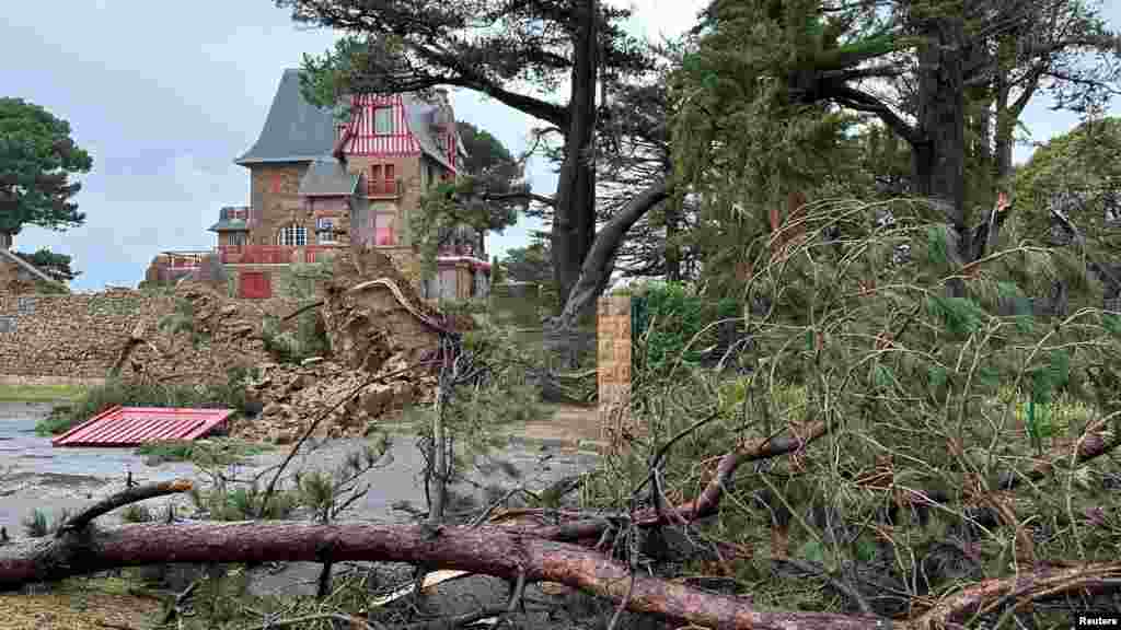 Egy kidőlt fa az úton a franciaországi Bretagne-ban november 2-án. A vihar eddig három halálos áldozatot követelt az országban