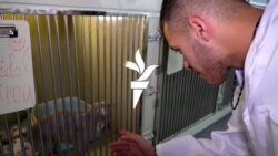 Studenții din Israel ajung cu greu în R. Moldova