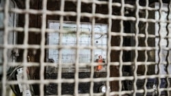 Në pritje të faturave – Kush do ta paguajë rrymën në veri?