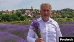 Tósoki Imre, Tihany polgármestere