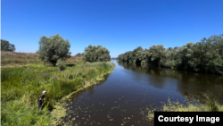 Acțiunea a avut drept scop readucerea plantelor rare în habitatele lor naturale și reabilitarea ecosistemelor mlăștinoase.  