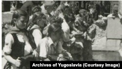 Снимки от 1949 г. показват как ученици наблюдават Муджа, заедно с женски алигатор в същото заградено място, където той живее и днес.