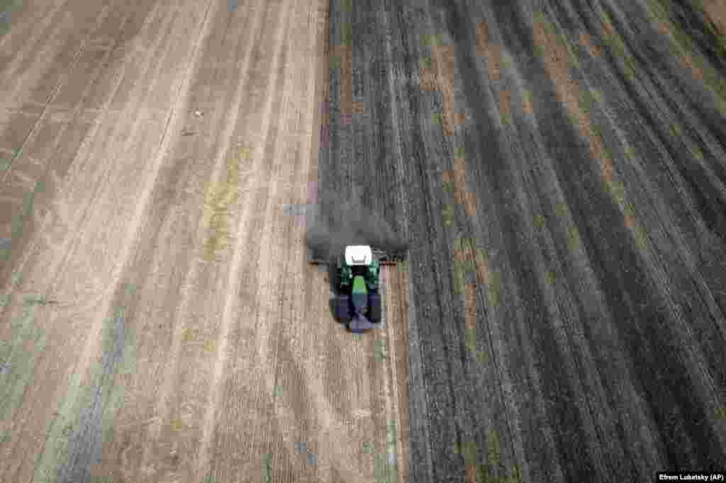 Cerealele sunt principala sursă de venit a fermei, iar produsele lui Țvik au fost exportate până în India și țările sărace din Africa de Nord. Singurele alte opțiuni de export sunt transporturile rutiere, feroviare și fluviale mai costisitoare prin Europa, iar țările vecine nu acceptă importurile pentru a-și progteja propriii&nbsp; femieri, astfel că cerealele lui Țvik vor rămâne probabil în siloz, producându-i pierderi de zeci de mii de dolari.