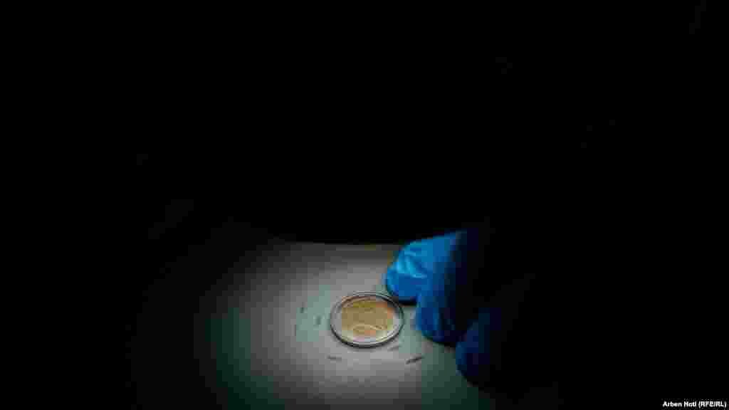 Dy euro false të ekzaminuara në laboratorin e Agjencisë së Kosovës për Forenzikë. &nbsp;