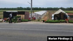 Deși sunt mai multe cooperative decât în 1989, majoritatea au puțini membri. Numărul minim legal este de cinci. Ele sunt înființate pentru a permite unor fermieri să acceseze mai ușor fonduri europene. Proiectele depuse de o cooperativă primesc finanțări înaintea unei ferme.