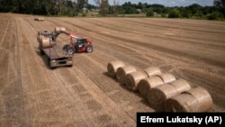 Un tractor la recoltat în regiunea Kiev, Ucraina, 10 august 2023. 