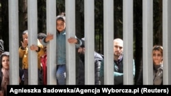 мигранти, илустрација