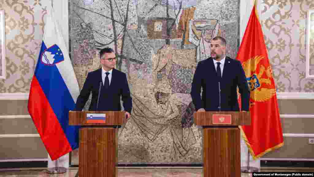 Bespilotne letjelice su kupljene od Slovenije, čije Ministarstvo odbrane je istovremeno doniralo Crnoj Gori sistem protivvazdušne podrške BANS. Nabavka dronova je sprovedena kroz model zajedničkih nabavki dvije zemlje, a primopredaju su 2.jula obavili ministri odbrane Crne Gore i Slovenije, Dragan Krapović i Marjan Šarec, na vojnom aerodromu &quot;Knjaz Danilo&quot; u Podgorici. &nbsp;