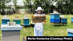 Rozi, në bletarinë "Korr e Ha n'Katun".