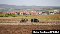 Fermeri Gjylazim Ibrahimi dhe djali i tij duke kryer mbjelljet pranverore.