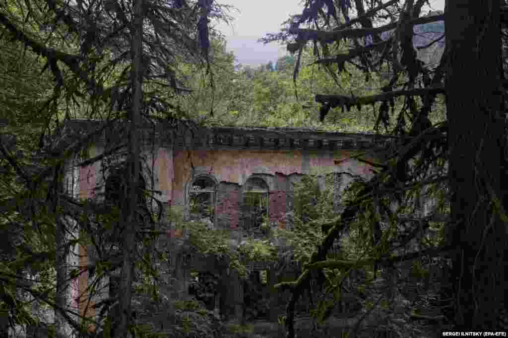 მიტოვებული ქალაქის შენობები თითქმის სრულად განადგურდა და მათი ადგილი ბუნების სიმწვანემ დაიკავა.