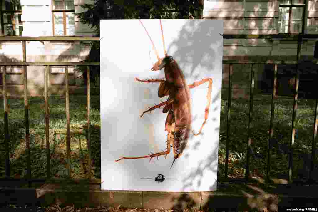 Jedan od radova na izložbi.