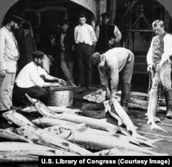 Halászok a Volga mentén