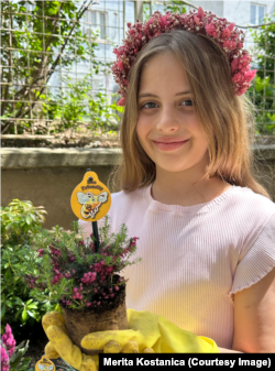 Rozi, duke mbjellur lule që ndihmojnë bletët.