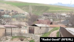 Chamanzor, Rajabalizoda's home village