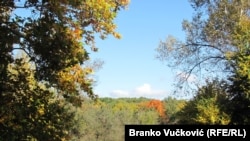 Još prilikom osnivanja kompleksa 1953. godine osnovna ideja bila je da se priroda dodatno oplemenjuje novim vrstama rastinja