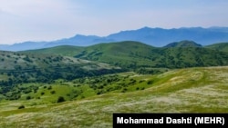 Илустрација