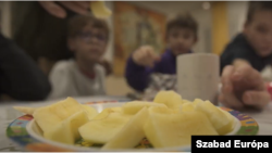 A gyümölcs kiemelt, de drága elem a közétkeztetésben