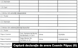 Cosmin Păpuc a câștigat, în 2022, 2,4 milioane de lei din închirierea unor clădiri care nu figurează în proprietatea sa.