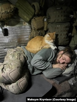 Maksim Krivcov sa žutim mačkom, njegovim vjernim pratiocem na frontu.