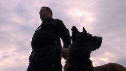 Cezar na granici Bosne i Hercegovine