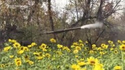 Eksplozije u Bugarskoj i invazija Rusije na Ukrajinu