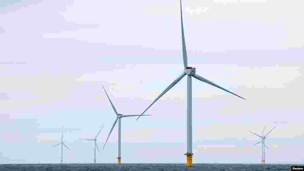 A szélerőműpark több mint másfél millió holland háztartás éves fogyasztásának megfelelő mennyiségű megújuló villamos energiát képes termelni. Ez az irány egybevág a&nbsp;holland kormány terveivel, miszerint&nbsp; csökkenteni kívánják az üvegházhatású gázok kibocsátását. Az egyik megállapodás szerint 2023-ra a Hollandiában felhasznált energia tizenhat százalékát fenntartható módon állítják elő