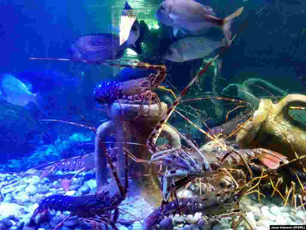 Među specijalitetima su i jastozi, koji se u mogu odabrati iz restoranskih akvarijuma. Kilogram se prodaje od 150 eura, i više. &nbsp;