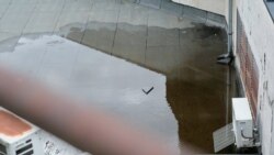 Prokišnjavanje kulture u Banjaluci 