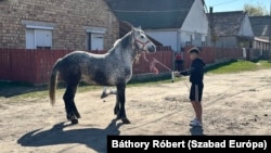 A helyi iskolába járó gyerekek nyolcvan százaléka roma