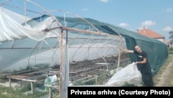 Saša Stanojević pored uništenog plastenika kod Kragujevca.