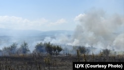 илустрација