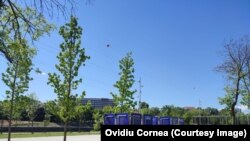 Peisaj de campanie. Afișe electorale ale candidaților din Cluj