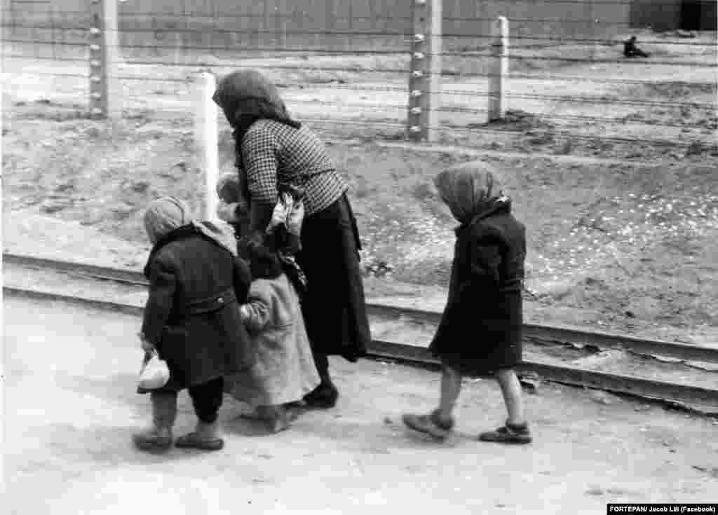 &bdquo;Május 16-án ment el az első transzport. 3000 ember lehetett, hogy hová, nem tudtuk. Mi a másodikkal mentünk, mi is lehettünk annyian. [&hellip;] Egy vagonban 80-an, 90-en, sőt 100-an is voltunk összezsúfolva. Élelmet vihettünk magunkkal, sőt vizet is magunk hordtunk fel a szerelvényre. 4 nap és 4 éjjel utaztunk. [&hellip;] A legrettenetesebb volt, hogy soha nem tudtuk, merre járunk. Hová visznek? A harmadik napon megérkeztünk Kassára. Itt nyitották ki először a vagonokat, kaptunk egy kis vizet és levest, de már az SS-ektől. [&hellip;] Majd ránk fogott fegyverrel kényszerítettek arra, hogy a még eddig el nem vett értékeinket, pénzünket átadjuk. Még le is rángattak egy kislányt és egy idősebb bácsit, revolvert fogtak rájuk, lelövéssel fenyegették abban az esetben, ha állítólagos értékeiket nem adják át. Erre valaki kidobott a vagonból egy órát és egy gyűrűt, minek köszönhették az életüket&rdquo;