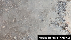 Pčele su se ugušile u slatkom mulju koji je nastao rasipanjem šećera na otvorenom. Fotografija od 26. aprila 2024.