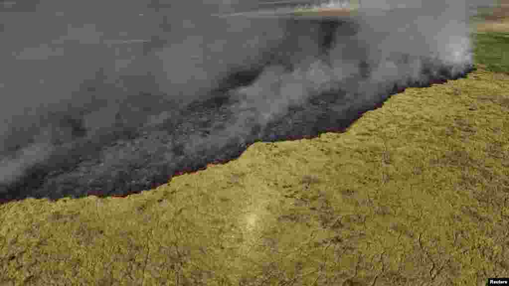 A tüzek számának megugrása a 2023 végi atipikus tüzek után következett, amikor az El Niño éghajlati jelenség késleltette az esős évszakot. Novemberben 4134 tűzesetet regisztráltak, szemben a hónap 584-es történelmi átlagával