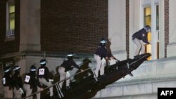 Полицаи влизат в окупираната зала на Колумбийския университет.